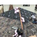 shingle roof