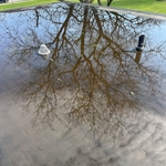 Ponding on Roof, Drain needed reset and sumped
