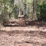 Fence clearing
