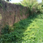 Side Fence