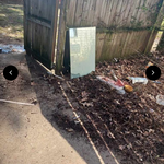 The Front yard mess