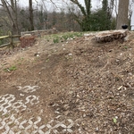 Before Wall and Stump removal