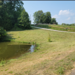 Lake Side Mowing