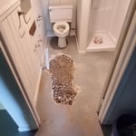 Previous Jobs