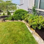 beautiful garden