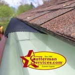 Gutter Cleaning