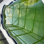 Green pool