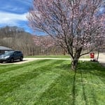 Laying down some stripes in this front yard!