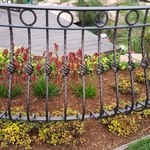 Copper-Vein wrought iron railing