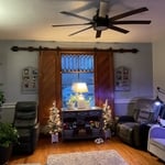 Living Room barn doors