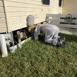 Chaz Removing Hive