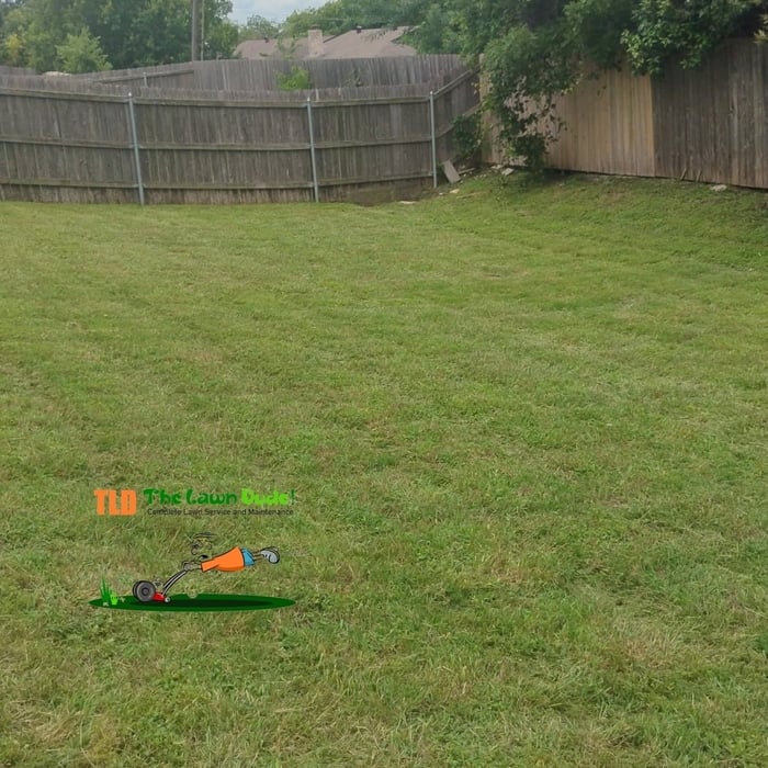 Lawn care