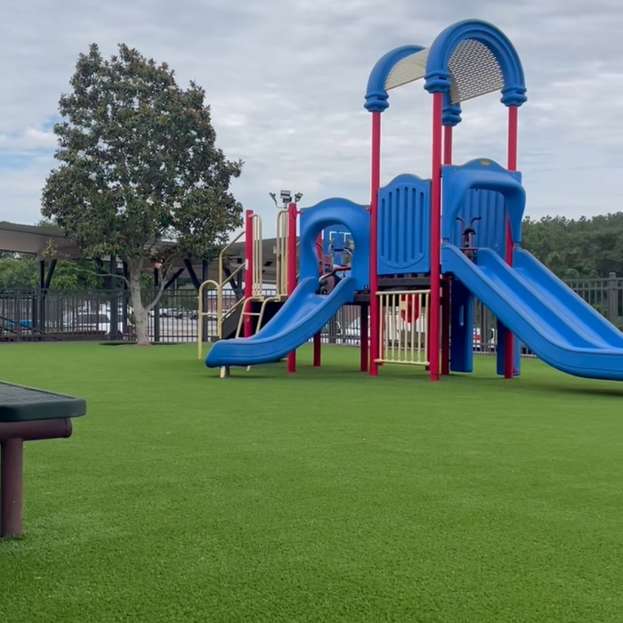 ForeverLawn Playground Grass