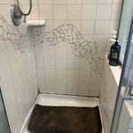 Before Shower