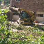 Tree Service