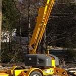 Cutting and Removal Tree