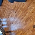 Living Room Floor Before