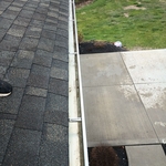 Gutter Cleaning
