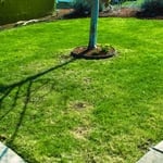 Fron Yard