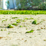 Sidewalk clean up