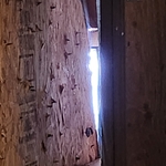 Entry hole from inside attic