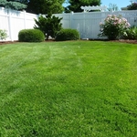 lawn care