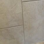 Shower wall