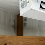 Mold Removal FL GA Line