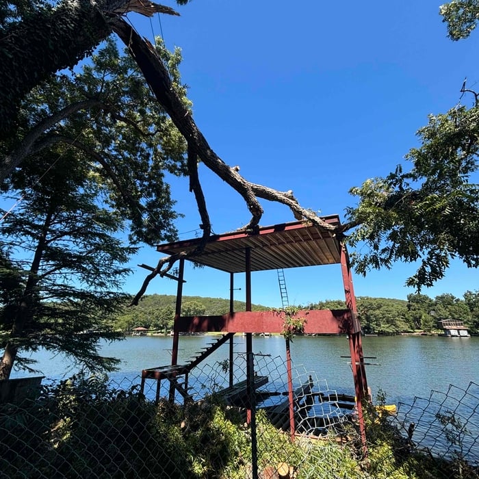 Removing broken branches