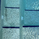Black Algae Removal