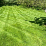 Our Work