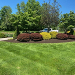 Our Work