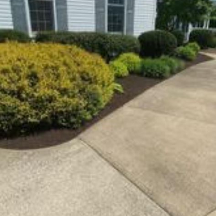 Our Work