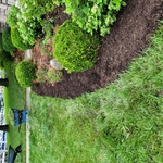 Landscape Mulch