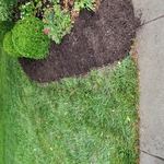 Landscape Mulch