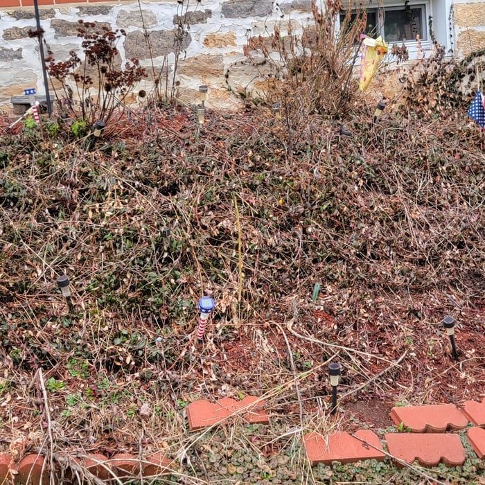 Flowerbed Restoration