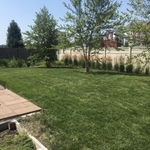 Lawn Mowing and maintence