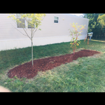 Landscaping Flower Bed