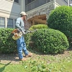 Bush trimming