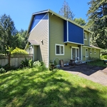 Patio Clean up After