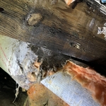 water damage