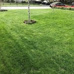 Yard2