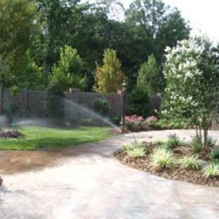 separating plants & grass