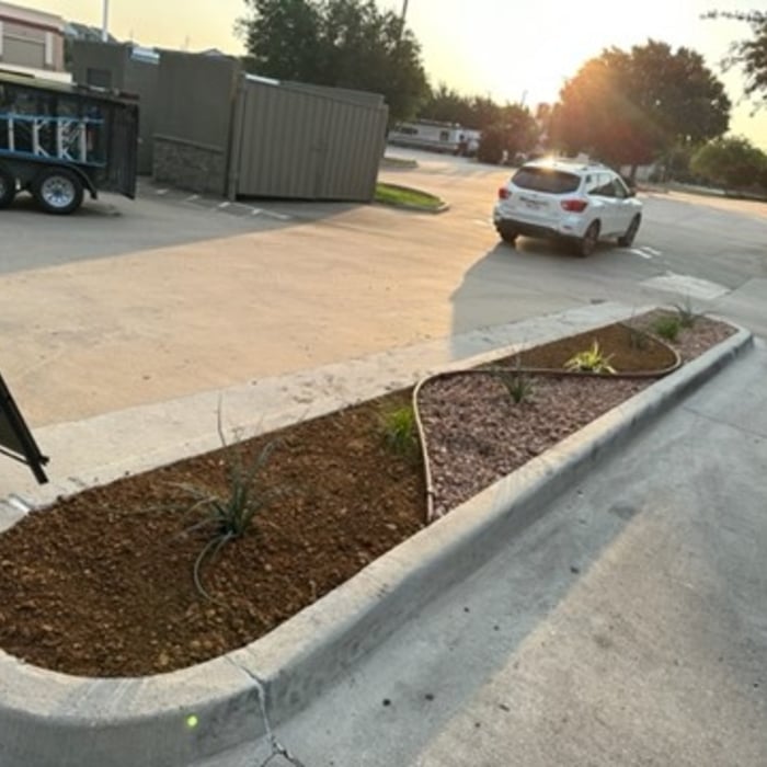 Xeriscape Install