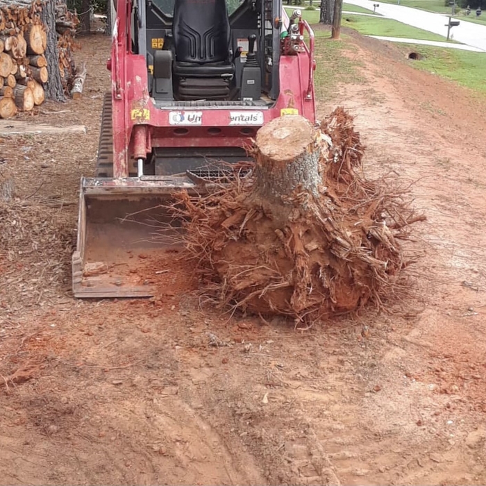 Remove stump
