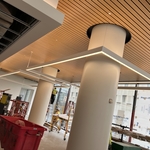 Light Fixture