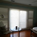 Shutter with Savannah