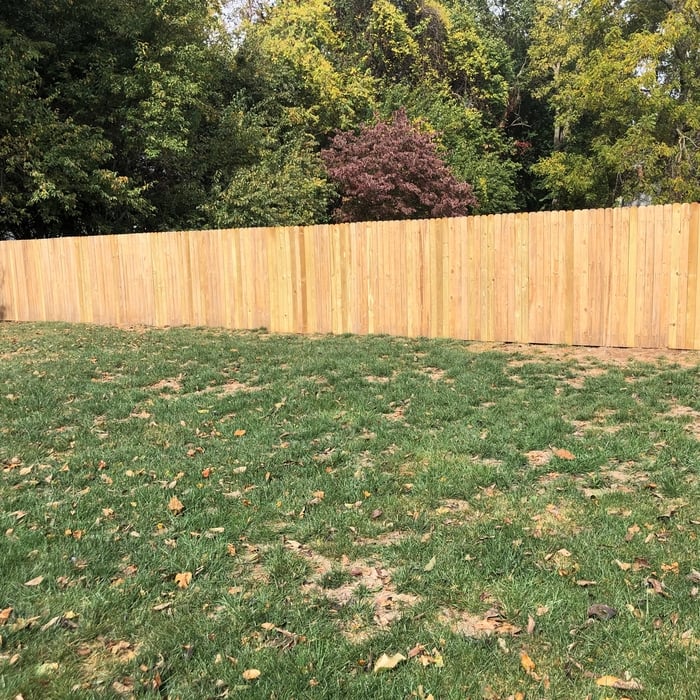 Fence after power washing