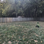 Fence before power washing