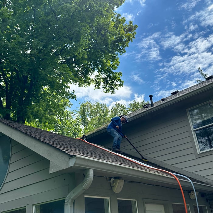 Roof Cleaning